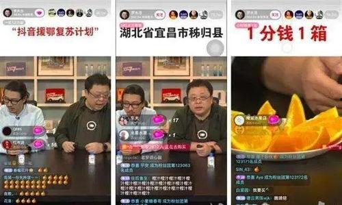 狗仔爆料直播间带货视频,带货视频背后的秘密与亮点 第3张 狗仔爆料直播间带货视频,带货视频背后的秘密与亮点 第3张